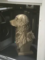 Buste de golden retriever — photo 2