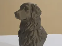 Buste de golden retriever — photo 1