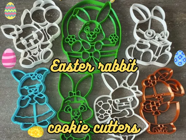 https://makerworld.bblmw.com/makerworld/model/USf6b6fb1dd4f2a5/design/2025-02-14_d66d0999e61ff.png