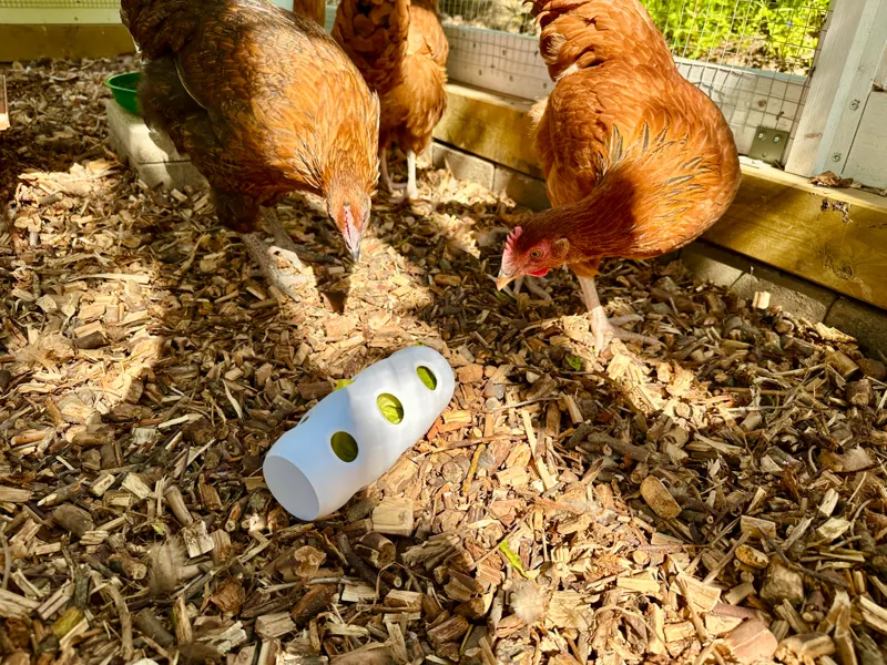 Chicken Snack Roller - Leafy Greens