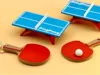 Table tennis paddle with ball