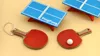 table tennis table