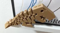 Flexi Rex — T-Rex articulé renforcé — photo 7