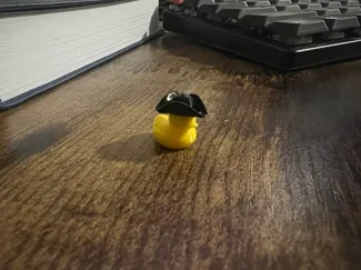 Tiny duck wearing a pirate hat