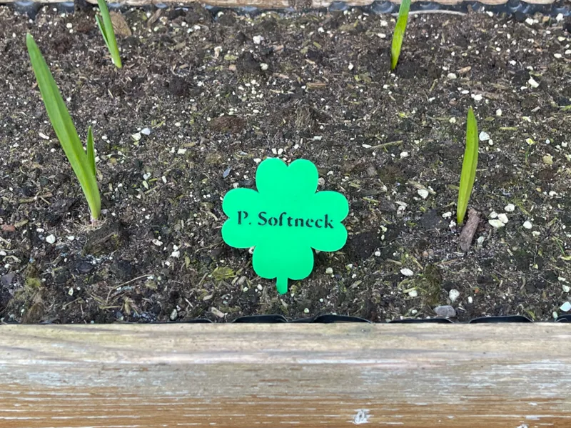 Schild für Pflanzen mit individuellem Text
