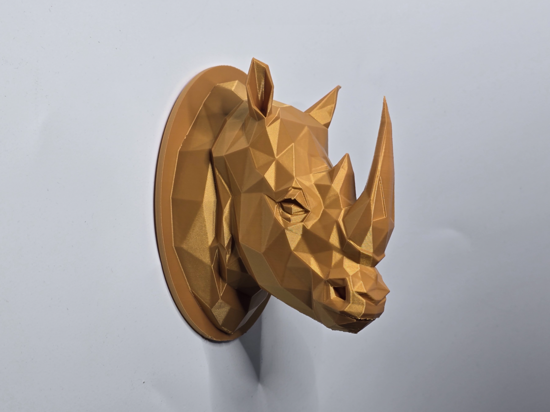 Rhinoceros head low poly