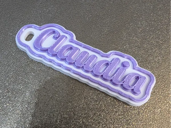 https://makerworld.bblmw.com/makerworld/model/USf6c1146be9706a/design/2025-03-02_38614e9840c4.jpg
