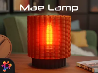 Mae Lamp by Polymeria