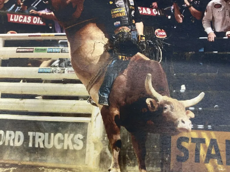 LITHO BULLRIDER