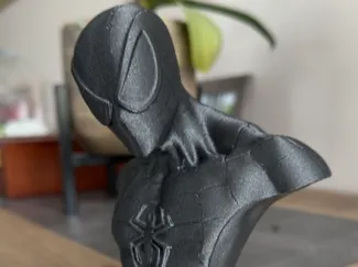 Spiderman Bust Single Color
