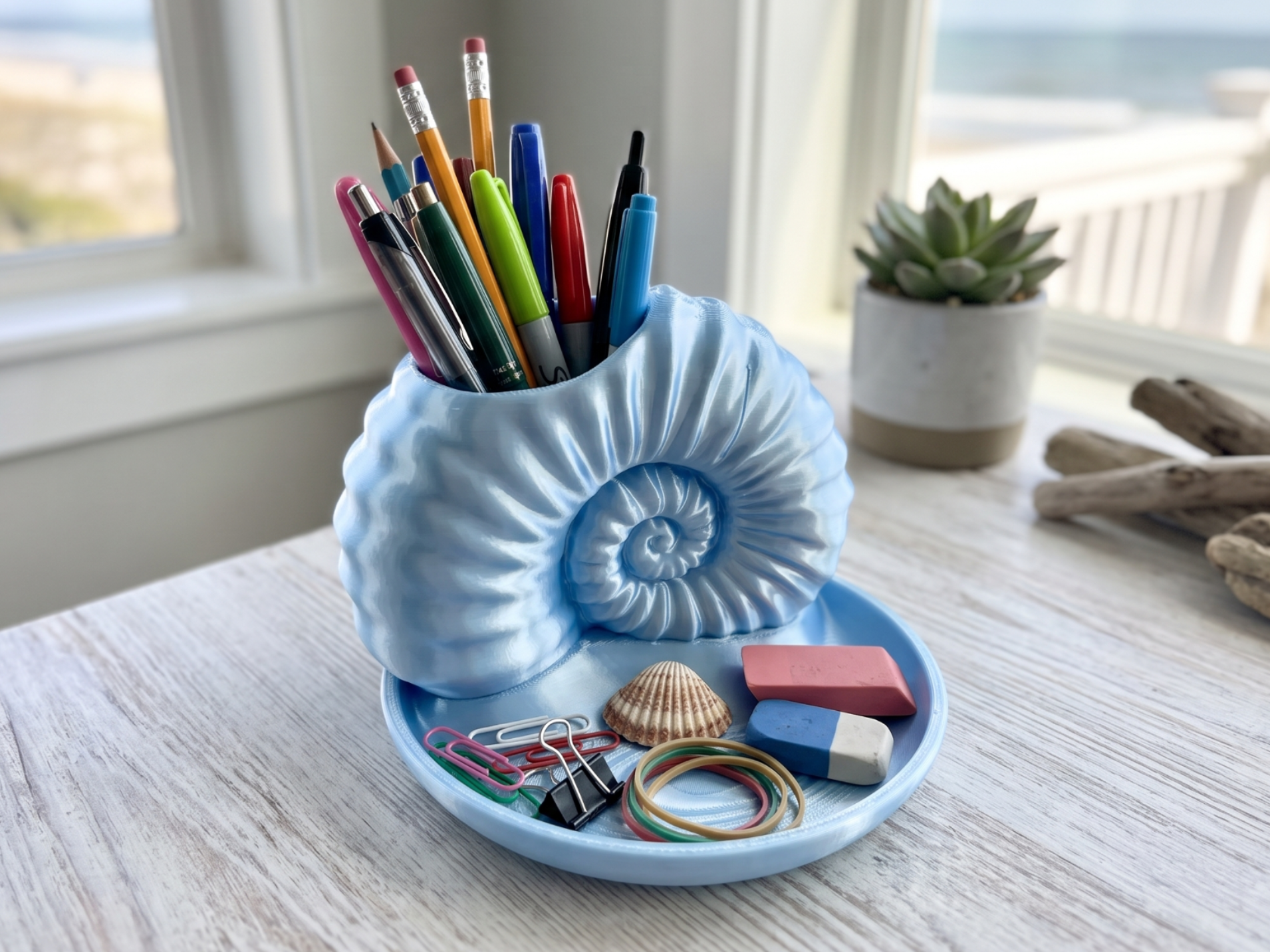 Nautilus Shell Desk Organizer & Stationery Tray