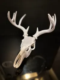 Crâne de cerf décoratif — photo 3