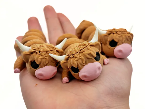https://makerworld.bblmw.com/makerworld/model/USf6cd9de1b20903/design/177dece1ab48fce3.png