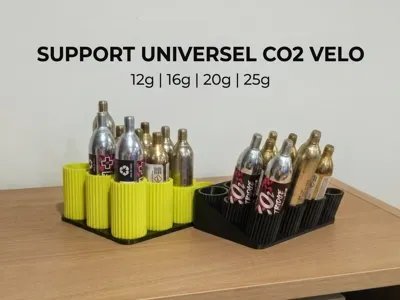 Multi-Size Bicycle CO2 Cartridge Organizer