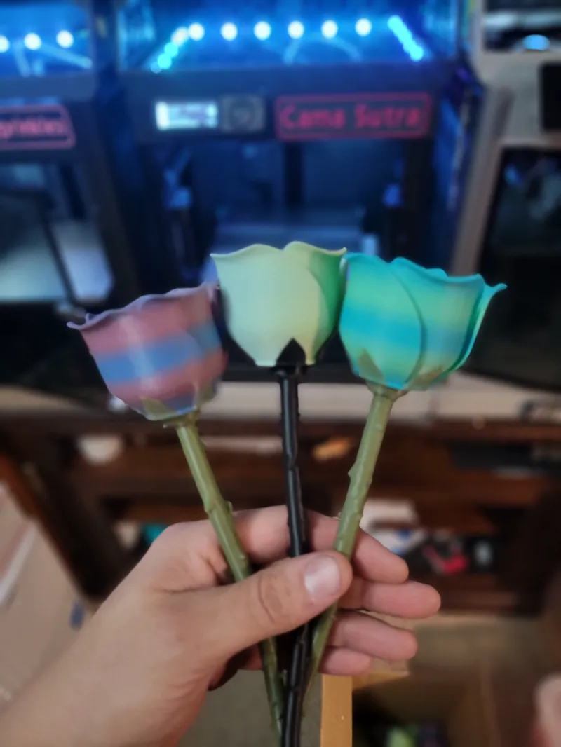 Anti-Valentines Rose