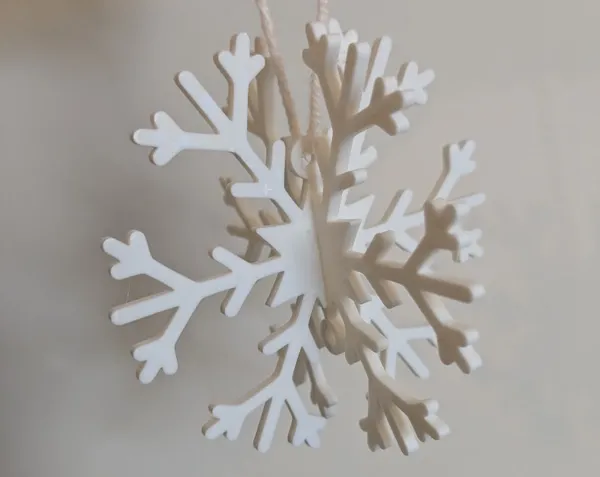 https://makerworld.bblmw.com/makerworld/model/USf6d2116d87c4b6/design/2024-09-15_330de70a8d36f.jpg