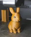 0.16mm layer, 2 walls, 15% infill, AMS