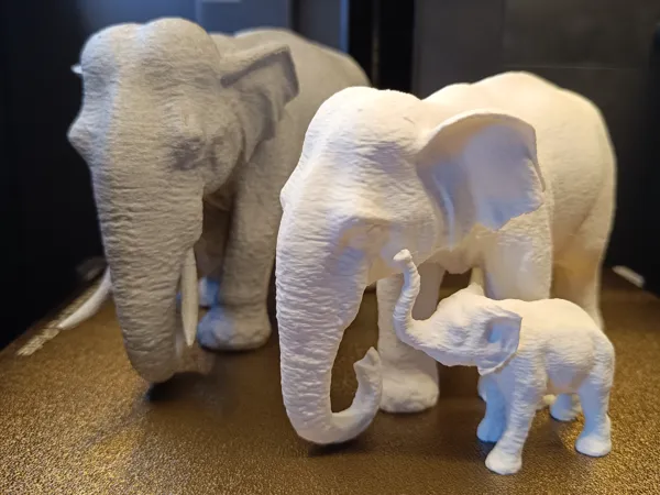https://makerworld.bblmw.com/makerworld/model/USf6dbe1d14a151c/design/2024-05-01_4e1408e189db.jpg