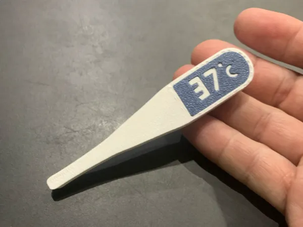 https://makerworld.bblmw.com/makerworld/model/USf6e13be4662eb/design/2025-03-27_976203c10df58.jpeg