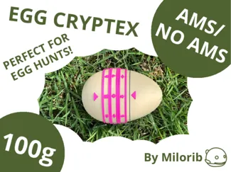 Egg Cryptex – Secret Code Puzzle Egg
