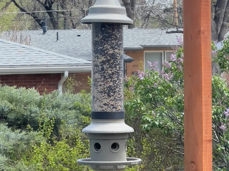 Broken Bird Feeder Fix