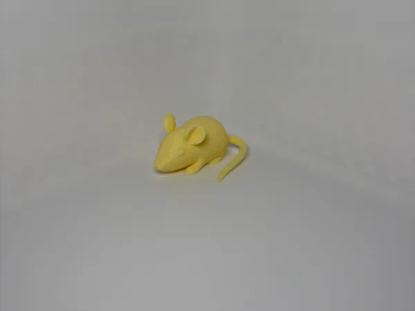 https://makerworld.bblmw.com/makerworld/model/USf700dbf5c5669a/design/2025-06-15_1704abc117626.jpg