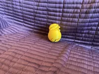 Sphère fidget passthrough impossible — photo 5