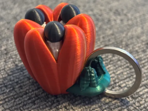 https://makerworld.bblmw.com/makerworld/model/USf703301df9cc24/design/2025-01-31_385b841bb495d8.jpg