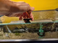 Poignée en T pour vitre d'aquarium — photo 1