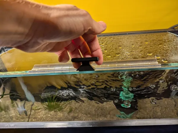 Poignée en T pour vitre d'aquarium