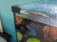Corner profile (support required)
