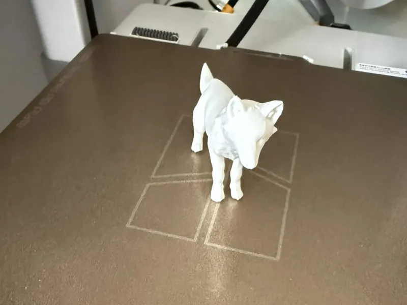 Wolf single colour 