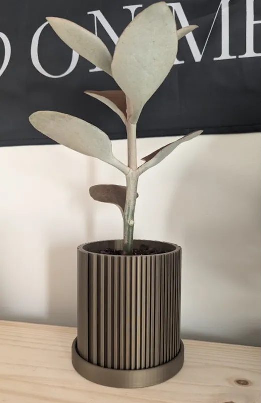 Fancy Modern Planter w/ Draining Tray