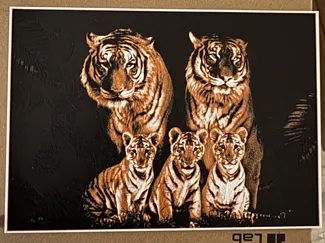 Tiger Family