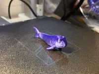 Anguille miniature détaillée — photo 2