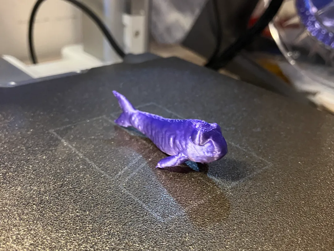 Anguille miniature détaillée