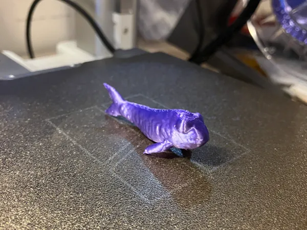 Anguille miniature détaillée