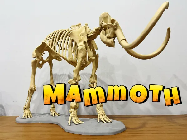 https://makerworld.bblmw.com/makerworld/model/USf710b61e5cfc24/design/2025-02-14_dcec24ac700e5.jpg