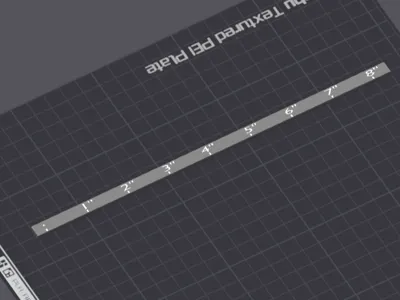 8 inch ruler