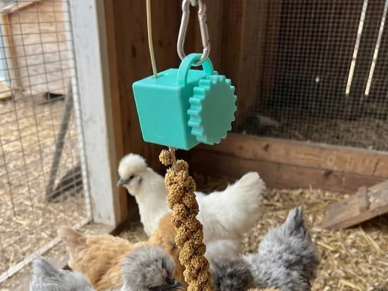 Hirse-Klemme - Adjustable Chicken Treat Holder
