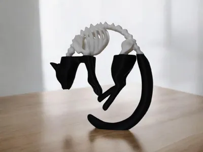 Half skeleton cat 