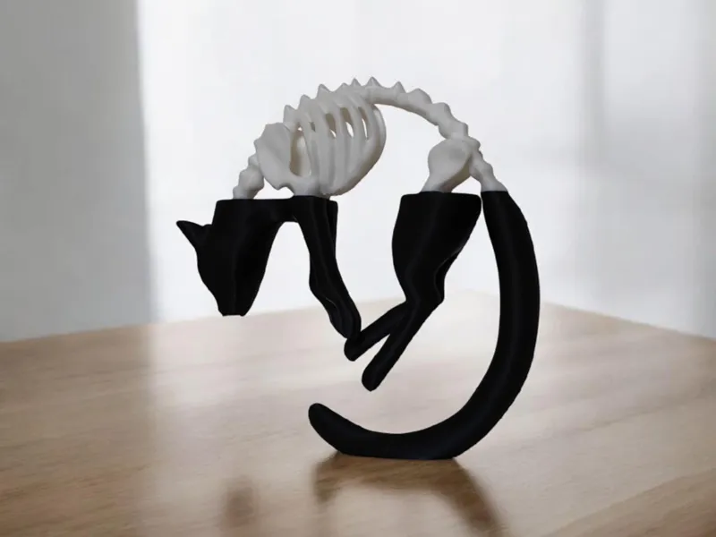 Half skeleton cat 