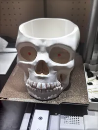 0.2mm layer, 3 walls, 10% infill