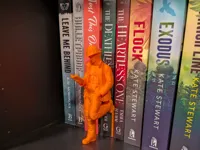 0.2mm layer, 2 walls, 10% infill