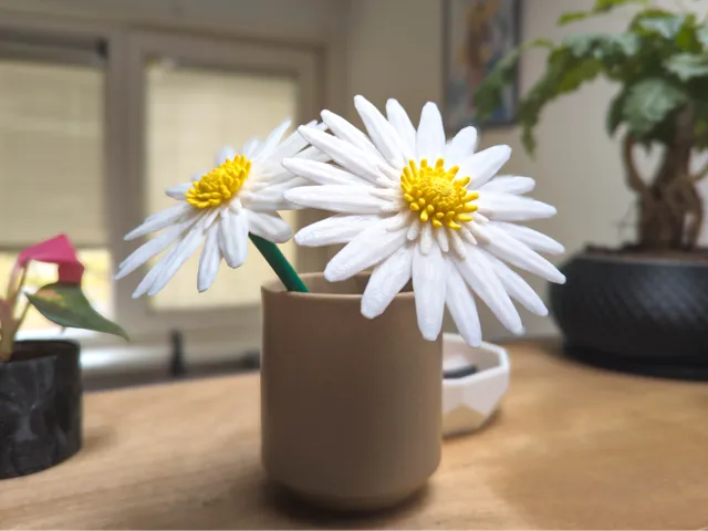 Daisies | Modular Flowers 01