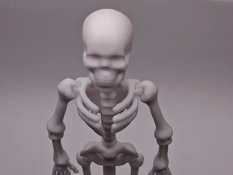 Stand for Flexi Skeleton by uni3Dworld