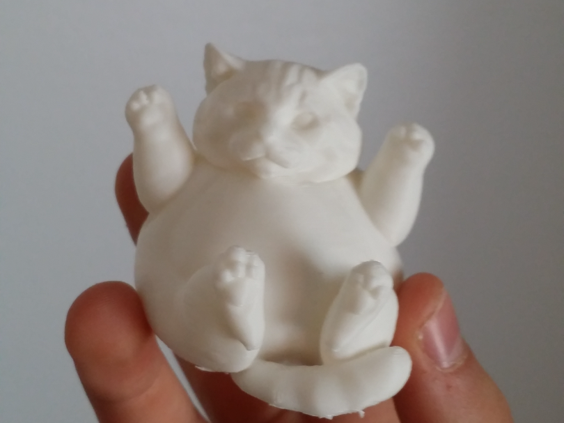 Chubby Cat Buddy