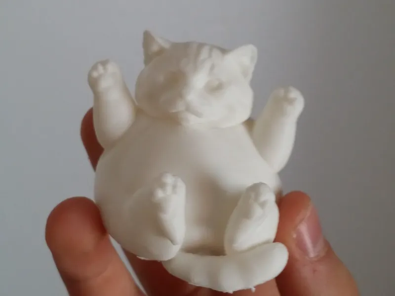 Chubby Cat Buddy