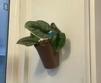 Simple Self Watering Wall Planter