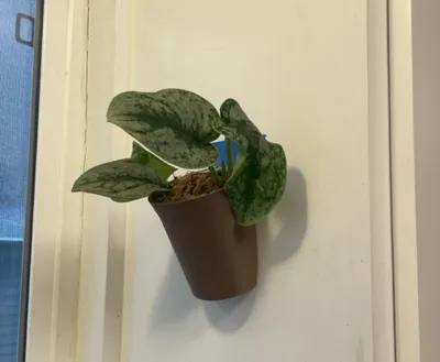 Simple Self Watering Wall Planter